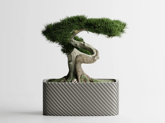 Plant Pot Fine Rib Rounded Rectangle Low