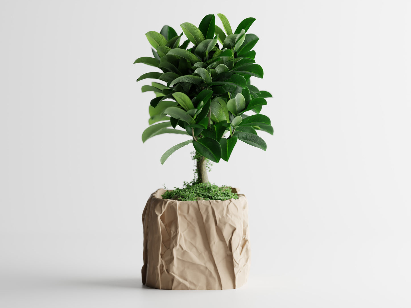 Crumbled Paper Planter - Tan