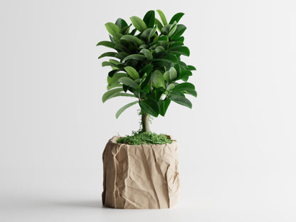 Crumbled Paper Planter - Tan