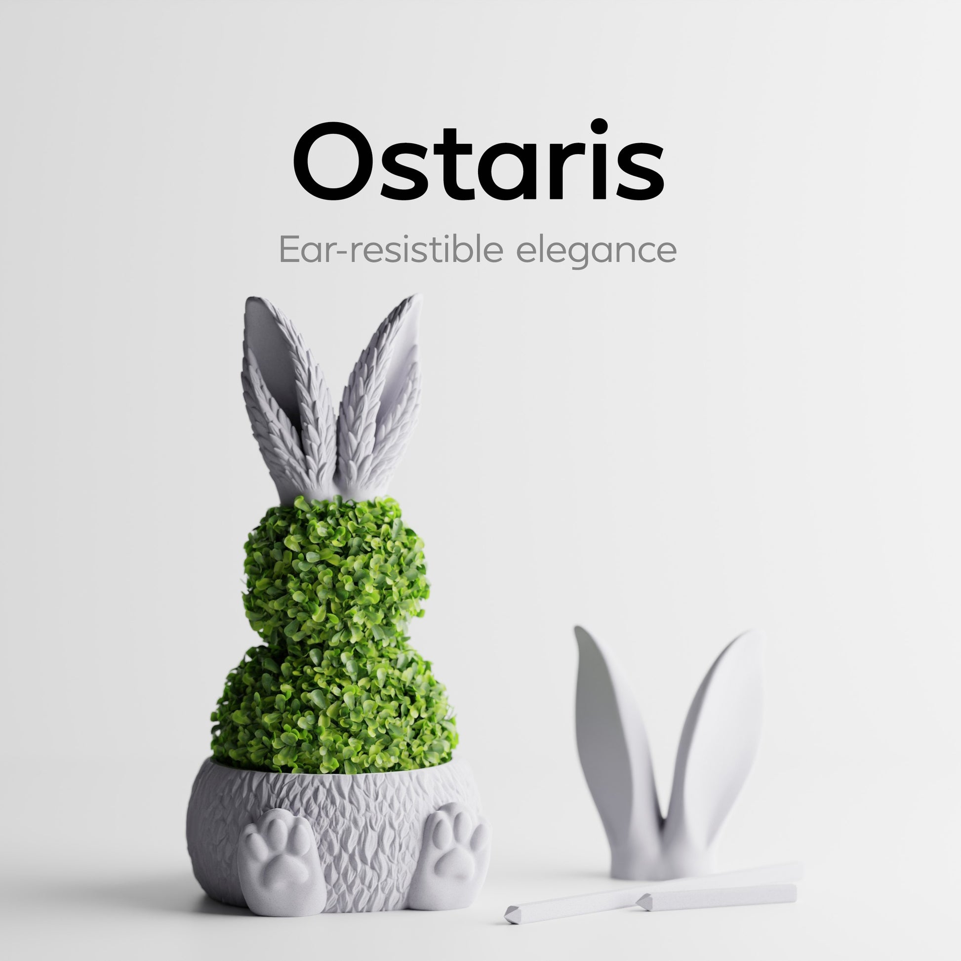 Ostaris ear-shaped vase - Cover Image Ostaris .jpg