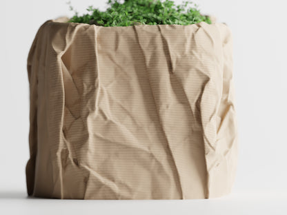 Crumbled Paper Planter - Detail