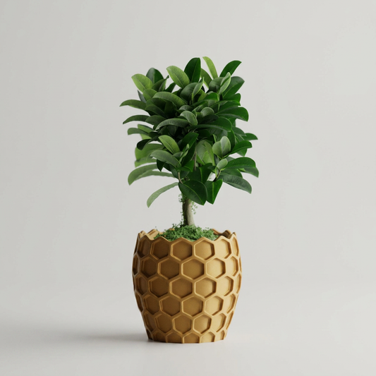 Beehavia – Buzzing with style. Rooted in nature.