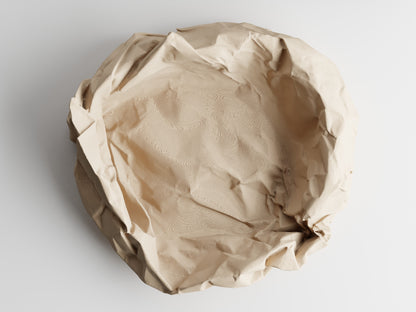 Crumbled Paper Bowl - Detail