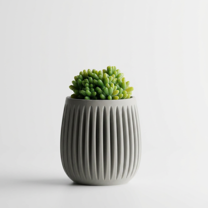 Columna – Structured lines. Organic soul.