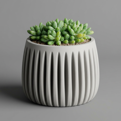 Columna – Structured lines. Organic soul. scale and measurements