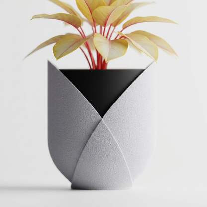 Elyndra – Wrapped in form. Defined by color. alternate angle