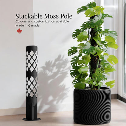 Decorative Moss Pole Kit  Stackable Plant Support for Climbing Plants | Modular & Expandable Trellis