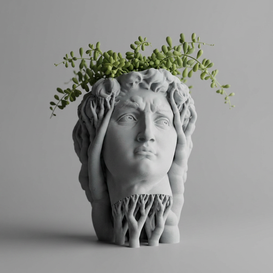 Organic David Planter