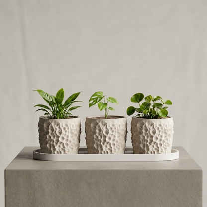 Piccola – Small in size. Bold in texture.