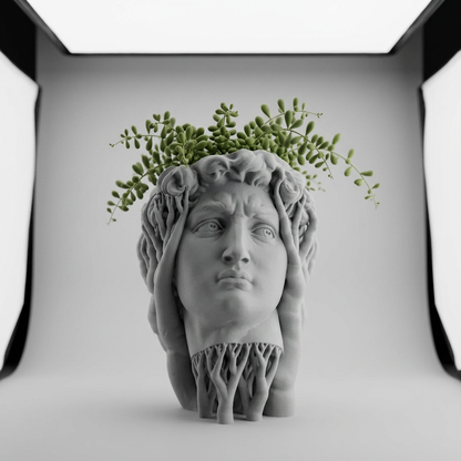 Organic David Planter scale and measurements