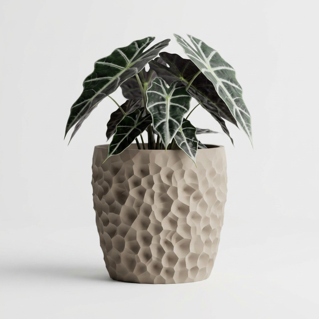 Cratera – Geometrically eroded.Perfectly balanced. alternate angle