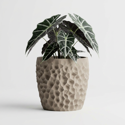 Cratera – Geometrically eroded.Perfectly balanced. alternate angle