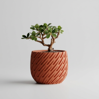 Lioren - Where growth finds its rhythm.