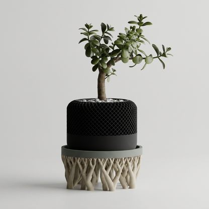 Oragnic Bowl / Planter Stand