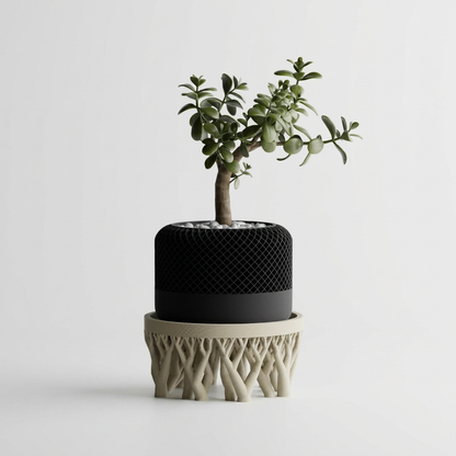 Oragnic Bowl / Planter Stand alternate angle
