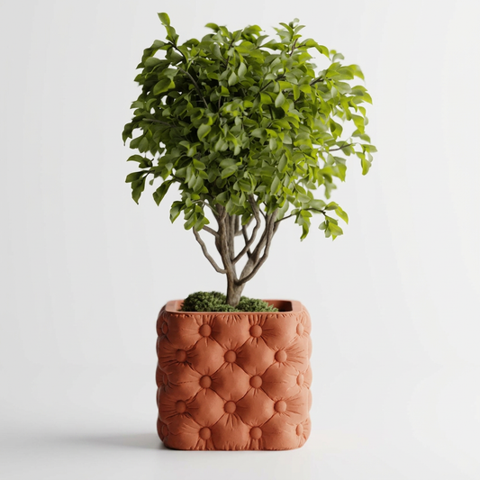 Plant Pot Chesterra – Luxury feel. Natural soul.