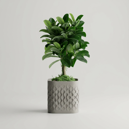 Plant Pot Flowform scale and measurements