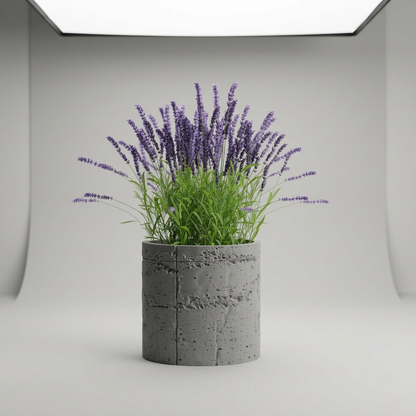 Plant Pot Planter Concrete 1