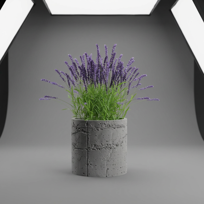 Plant Pot Planter Concrete 1 scale and measurements