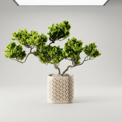 Plant Pot Seraphis scale and measurements