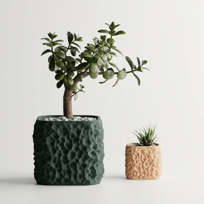 Plant Pot TerraForma