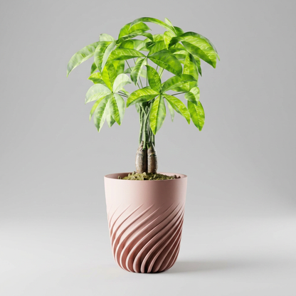 Plant Pot Ventra scale and measurements