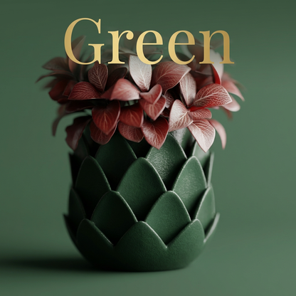 Phyllara - Green colour variant