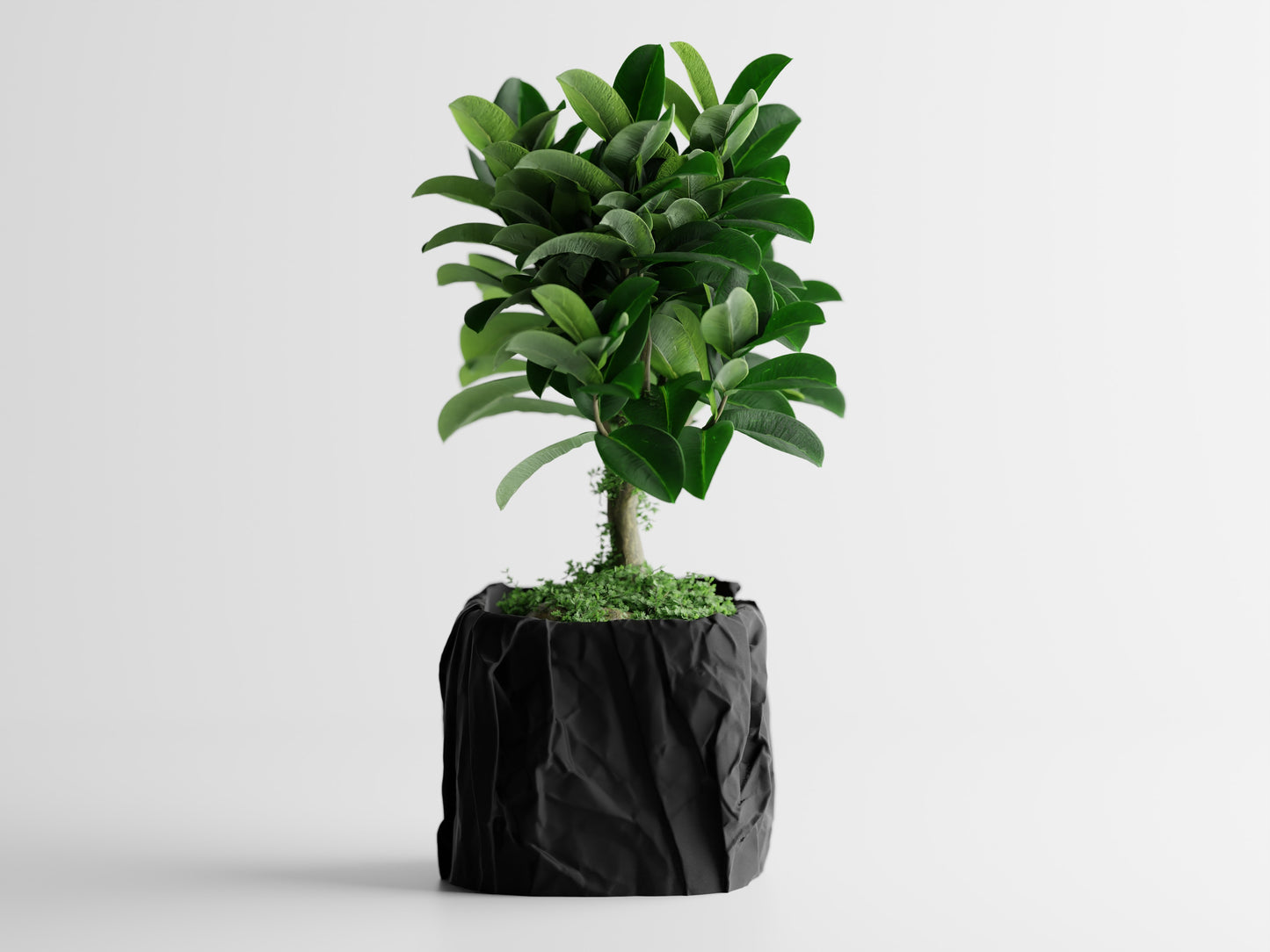 Crumbled Paper Planter - Black