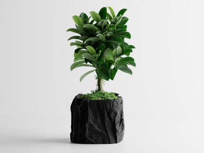 Crumbled Paper Planter - Black