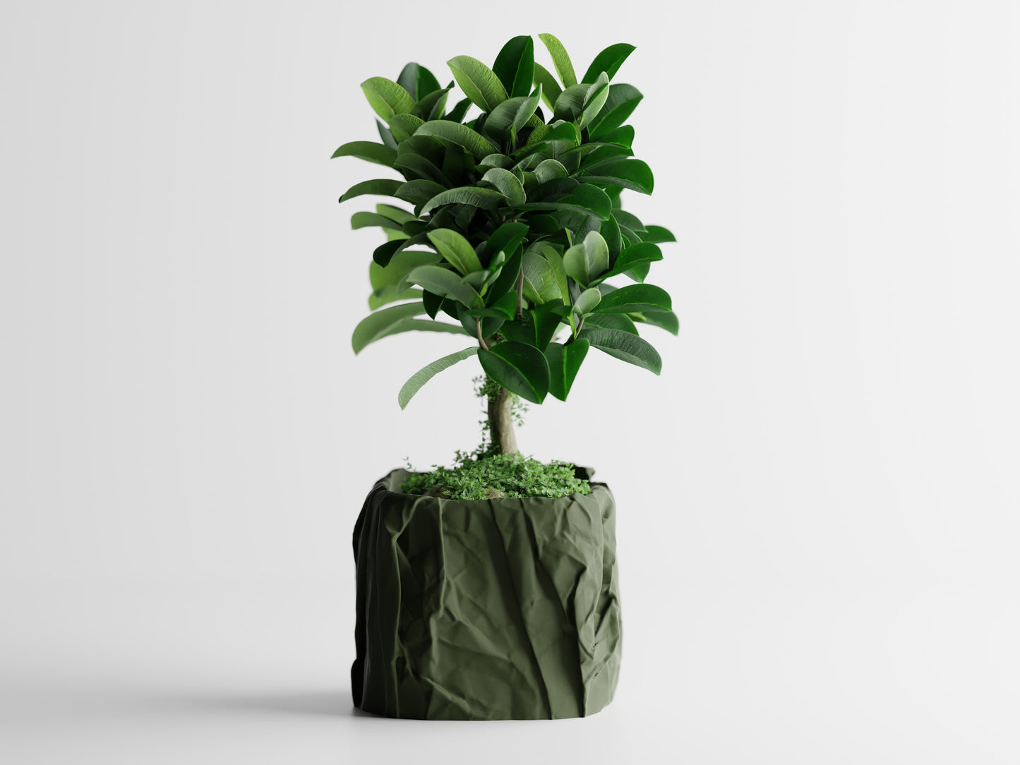 Crumbled Paper Planter - Green