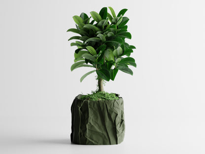 Crumbled Paper Planter - Green
